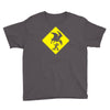 pterosaur warning Youth Tee