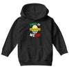 cinco de meow Youth Hoodie