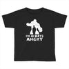 I'm Alway Angry Toddler T-shirt