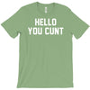 hello you c'nt T-Shirt