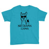no drama llama Youth Tee
