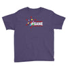 i am not insane Youth Tee