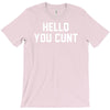 hello you c'nt T-Shirt