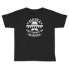 fiesta Toddler T-shirt