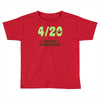never remember Toddler T-shirt