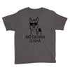 no drama llama Youth Tee