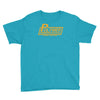 polymer records, ideal gift or birthday present funny Youth Tee
