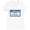 i stole your identity and now my life sucks Ladies Fitted T-Shirt