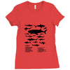 shark chart Ladies Fitted T-Shirt