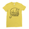 awesome Ladies Fitted T-Shirt