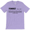 Feminist Noun T-Shirt