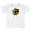 planet express Toddler T-shirt