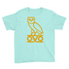 OWL-OVO Youth Tee