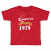 queens are born in 1978 Toddler T-shirt