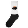 Bear Adventure With Rose Socks