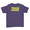 insane gym training bodybuilding workout keepfit weightlifting Youth Tee