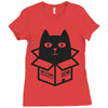 cats love boxes Ladies Fitted T-Shirt