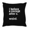 i before e except after c Throw Pillow