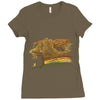 chasing windmills Ladies Fitted T-Shirt