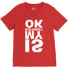 is my birthday ok V-Neck Tee