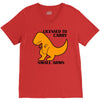 licensed to carry small arms V-Neck Tee
