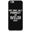 perfect welsh iPhone 6/6s Case
