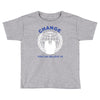 anonymous hacker revolution Toddler T-shirt