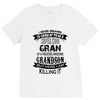 Super Cool Gran Of A Freaking Awesome Grandson V-Neck Tee