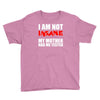 i'm not insane my mother Youth Tee