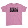 Animals Are Not Ingredients Youth Tee