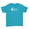 i'm not indecisive my mind Youth Tee