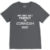 perfect cornish V-Neck Tee