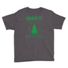 gravity falls oregon pine Youth Tee