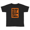 video games lied to me Toddler T-shirt