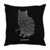schr&ouml;dinger&rsquo;s equation Throw Pillow