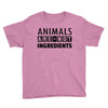 Animals Are Not Ingredients Youth Tee