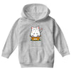 purrfect fit Youth Hoodie