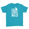 i was normal three cats ago lol funny cat Youth Tee
