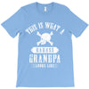 This Is What A Bad Ass Grandpa Looks Like T-Shirt