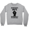introverts unite separately in your own homes Crewneck Sweatshirt