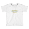 nicer person Toddler T-shirt