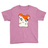 hamtaro Youth Tee