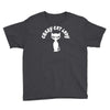 crazy cat lady Youth Tee
