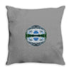 Unknown Lens Throw Pillow
