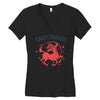 sagittarius zodiac Women's V-Neck T-Shirt