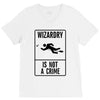 wizardry is not a crime V-Neck Tee