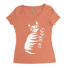 cat stripes Women's Triblend Scoop T-shirt