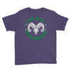 randy  the ram  robinson (2) Youth Tee