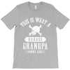 This Is What A Bad Ass Grandpa Looks Like T-Shirt
