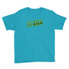 ask me about my llama Youth Tee